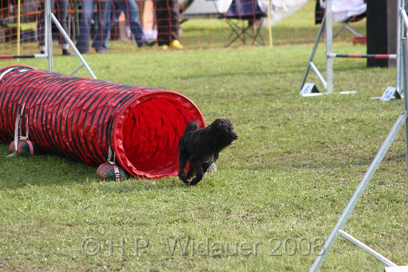 jubil.lusten3 108.jpg